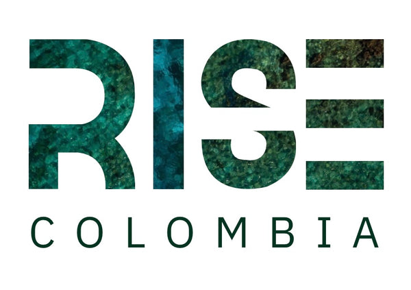 Rise Swimsuits